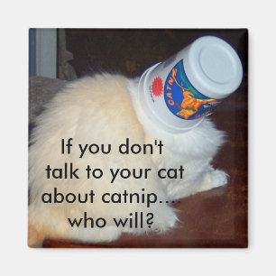 Wenn Sie nicht mit Ihrer Katze über Katzenminze Magnet