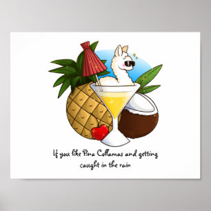 Wenn Sie Pina Collamas mögen Poster