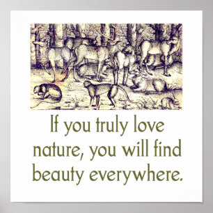 Wenn Sie wirklich Liebe Natur - Zitat Poster