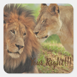 wenn Sie wissen, dass er recht hat Quadratischer Aufkleber