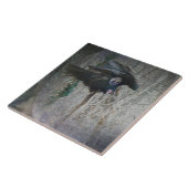 Wenn Vulture seine Flügel schließt Fliese (Seite)