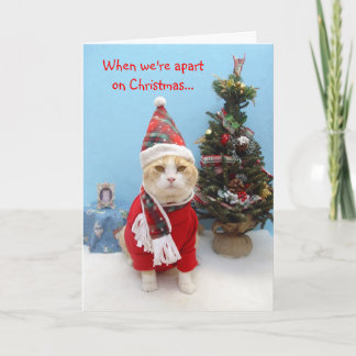 Wenn wir auf Weihnachten… getrennt sind Feiertagskarte