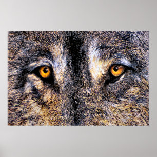 Wer aufpasst poster