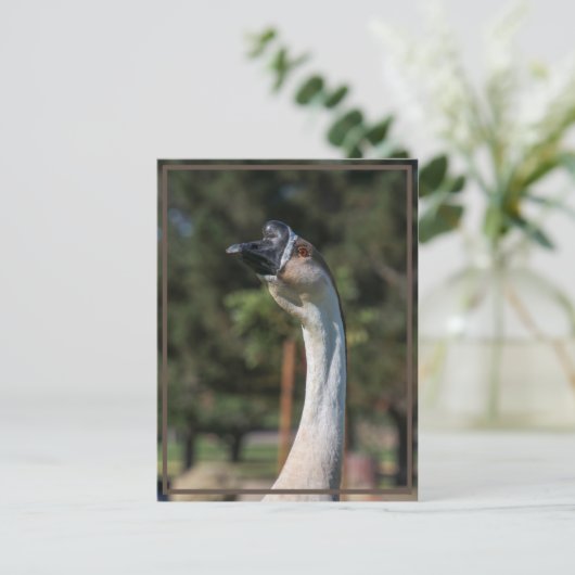 Wer bekommt das Wer? Postkarte (Stehend Vorderseite)