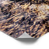 Wer beobachtet poster (Ecke)