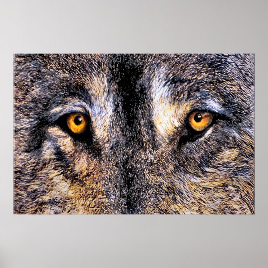 Wer beobachtet poster (Vorne)