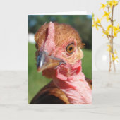 Wer bin ich? Ein Turkin-Hühnchen Karte