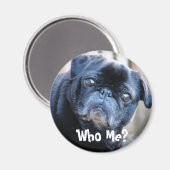 Wer bin ich? Magnet (Vorderseite/Rückseite)