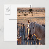 Wer bin ich? postkarte (Vorne/Hinten)