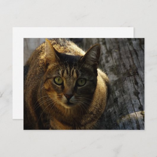 Wer bin ich? postkarte (Vorne/Hinten)