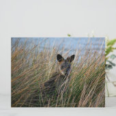 Wer bist du? (Stehend Vorderseite)