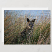 Wer bist du? (Vorne/Hinten)