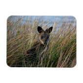 Wer bist du? magnet (Horizontal)