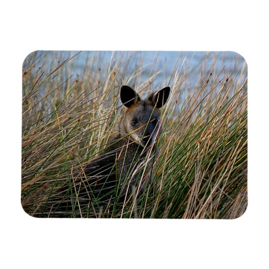 Wer bist du? magnet (Horizontal)