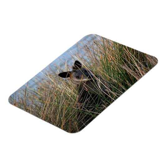 Wer bist du? magnet (Linke Seite)