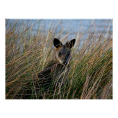 Wer bist du? poster (Vorderseite)