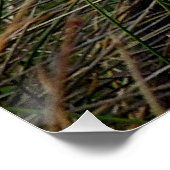 Wer bist du? poster (Ecke)