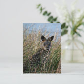 Wer bist du? postkarte (Stehend Vorderseite)