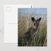Wer bist du? postkarte (Vorne/Hinten)