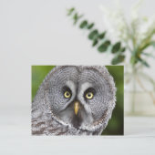 Wer bist du? Postkarte (Stehend Vorderseite)