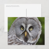 Wer bist du? Postkarte (Vorne/Hinten)