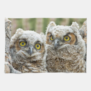 Wer da ist, das Paar von Owl's Geschirrtuch
