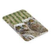 Wer da ist, das Paar von Owl's Magnet (Rechte Seite)