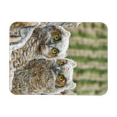 Wer da ist, das Paar von Owl's Magnet (Horizontal)