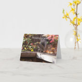 Wer da ist und an Ihre Karte denkt (Gelbe Blume)