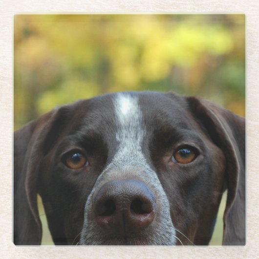 Wer Dat Hund Glasuntersetzer (Vorderseite)