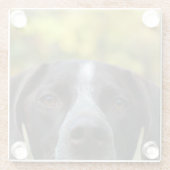 Wer Dat Hund Glasuntersetzer (Rückseite)