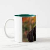 Wer Dat Hund? Zweifarbige Tasse (Links)