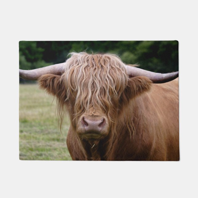 Wer die Licht-Tür-Matte ausfiel Fußmatte (Vorderseite)