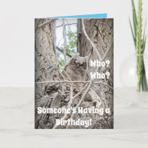 Wer eine Geburtstagskugel in Bäumen hat