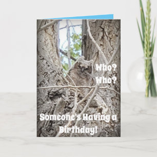 Wer eine Geburtstagskugel in Bäumen hat Karte