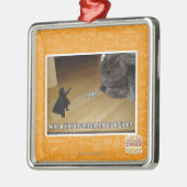 Wer erfand die dunkle Seite? Silbernes Ornament (Links)