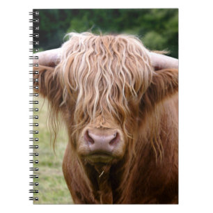 Wer hat das Notizbuch ausgeschaltet Notizblock
