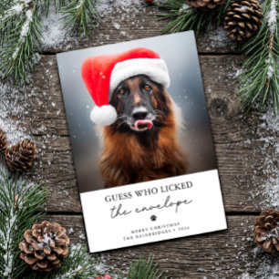 Wer hat den Umschlag abgeleckt Lustiger Hund Weihn Feiertagskarte