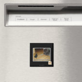 Wer hat die dunkle Seite erfunden? Magnet (In Situ (Geschirrspüler))