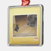 Wer hat die dunkle Seite erfunden? Silbernes Ornament (Links)