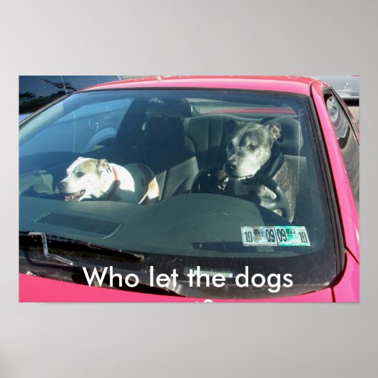 Wer hat die Hunde gelassen? Poster (Vorne)