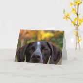 Wer hat Hund gegangen? Karte (Gelbe Blume)