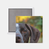 Wer hat Hund gegangen? Magnet (Vorderseite/Rückseite)
