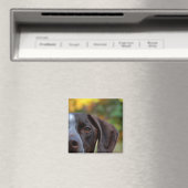 Wer hat Hund gegangen? Magnet (In Situ (Geschirrspüler))