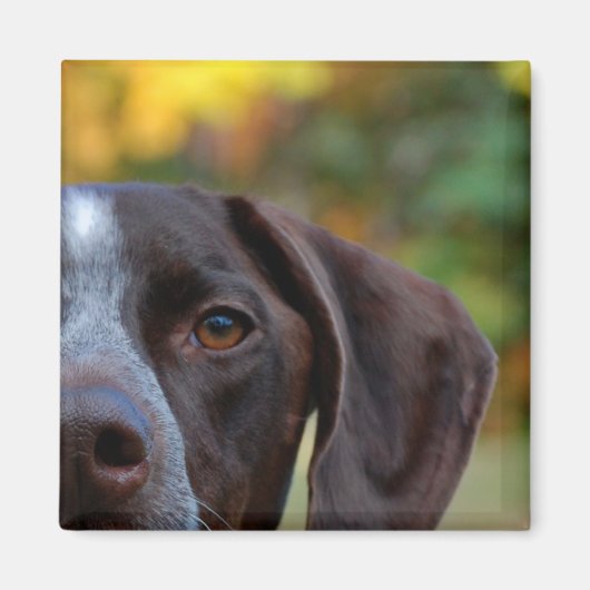 Wer hat Hund gegangen? Magnet (Vorne)