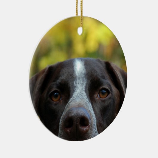 Wer hat Hund gestorben? Keramik Ornament (Rechts)