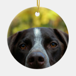 Wer hat Hund gestorben? Keramik Ornament