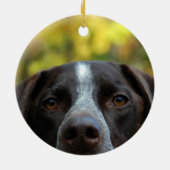 Wer hat Hund gestorben? Keramik Ornament (Hinten)