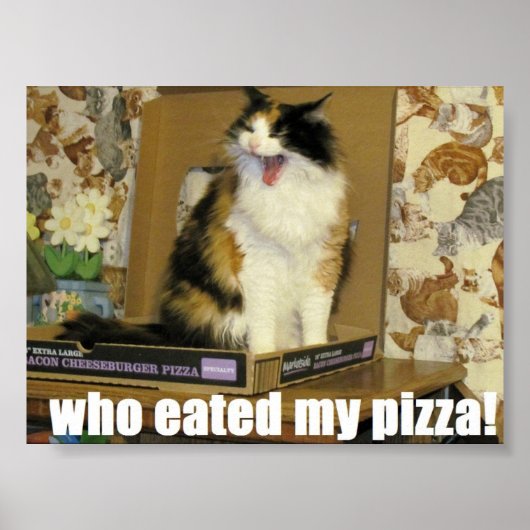 Wer hat meine Pizza gegessen? Funny Cat Meme Poster (Vorne)