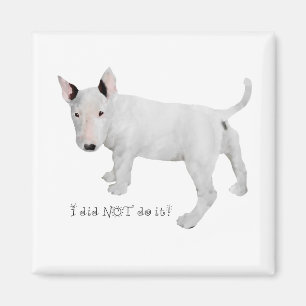 Wer, ich? Bull Terrier Welpe Magnet